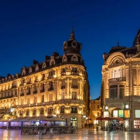 Premium 4 Stars - Trigone